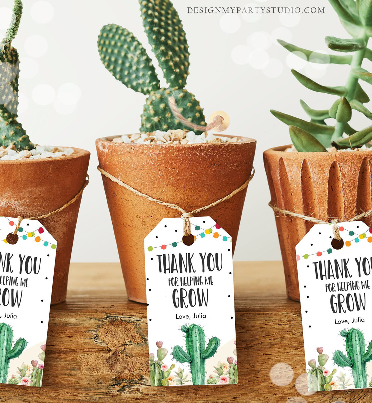 Editable Teacher Appreciation Favor Tags Thank You for Helping me Grow Succulent Fiesta Cactus Teacher Tag Digital Template Printable 0464