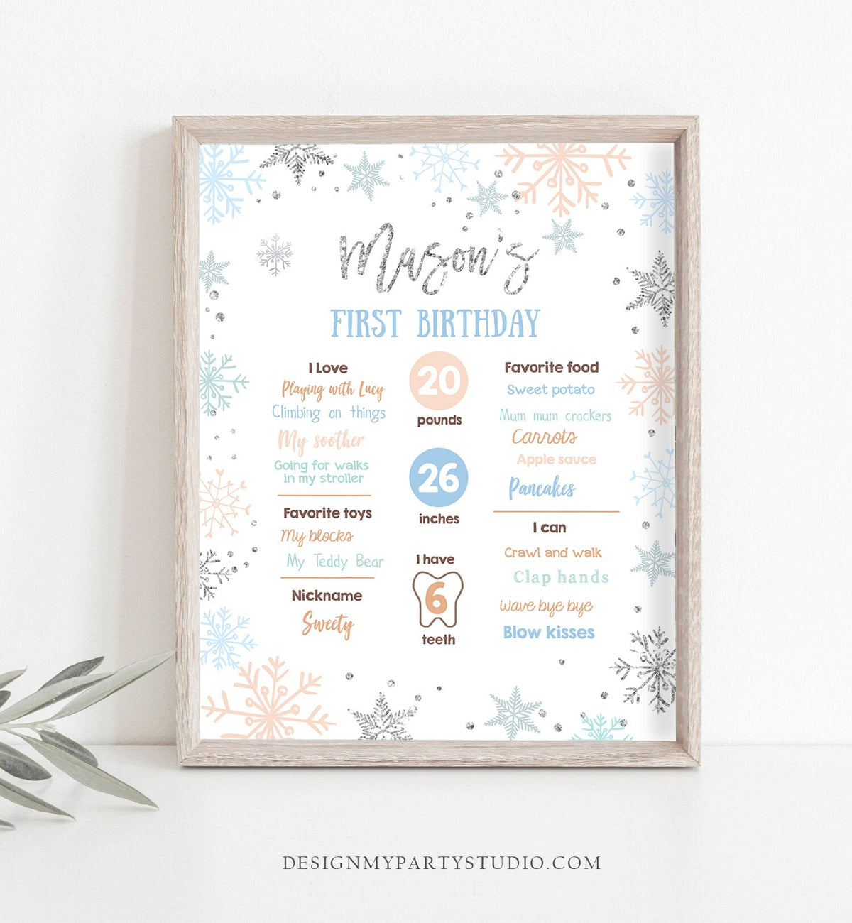 Editable Winter Birthday Milestones Sign Winter Onederland First Birthday Boy Blue Silver Snowflakes Floral Digital Template Printable 0256
