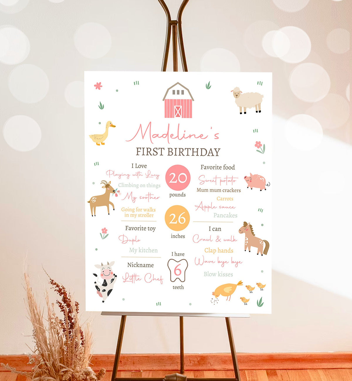 Editable Farm Animals Birthday Milestone Sign Girl Pink Farm Minimalist Barnyard Bash Barnyard Sign Floral Digital Template Printable 0436
