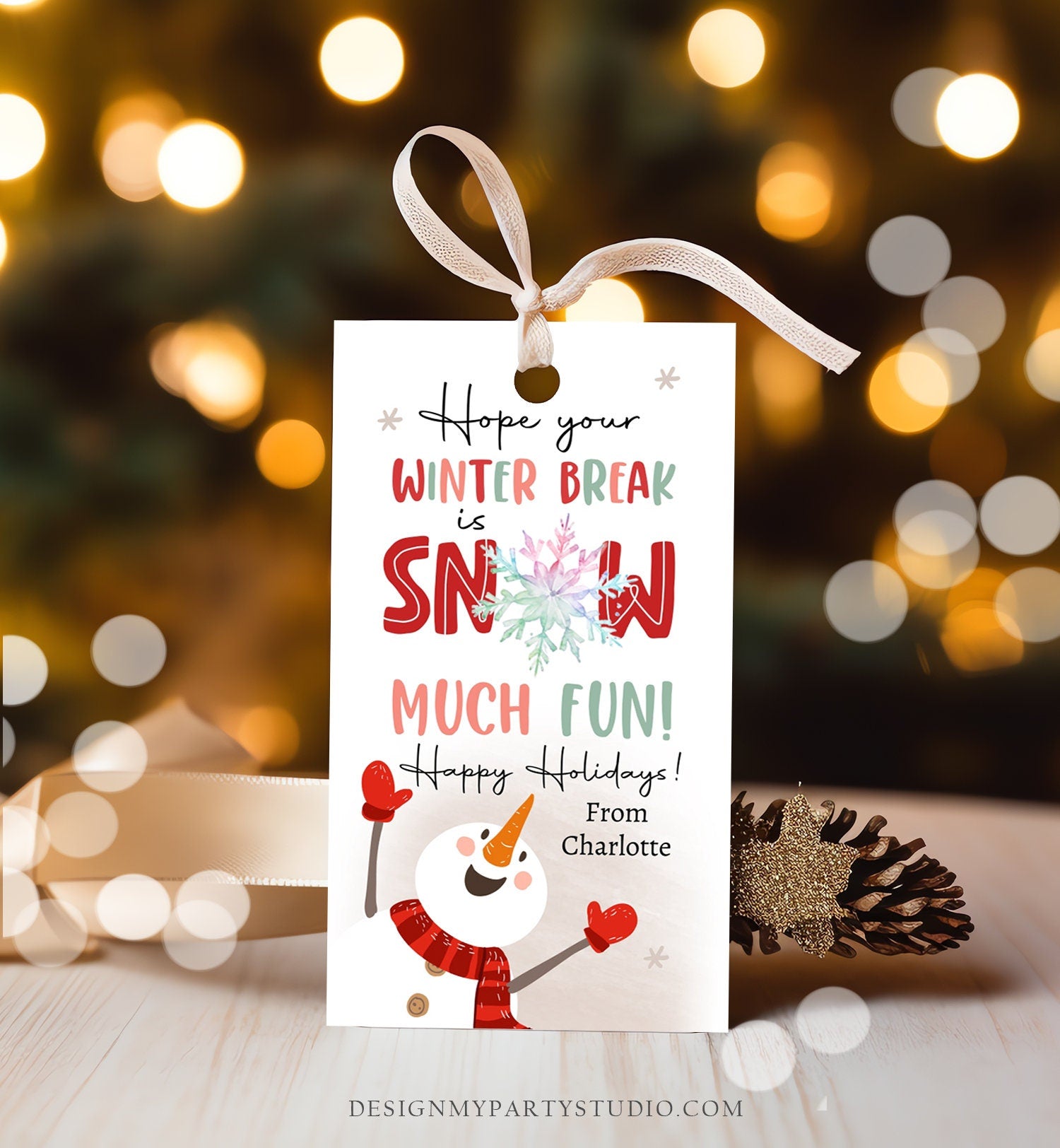 Editable Hope Your Winter Break is Snow Much Fun Favor Gift Tag Christmas Holiday Teacher Student Preschool Digital Template Printable 0443