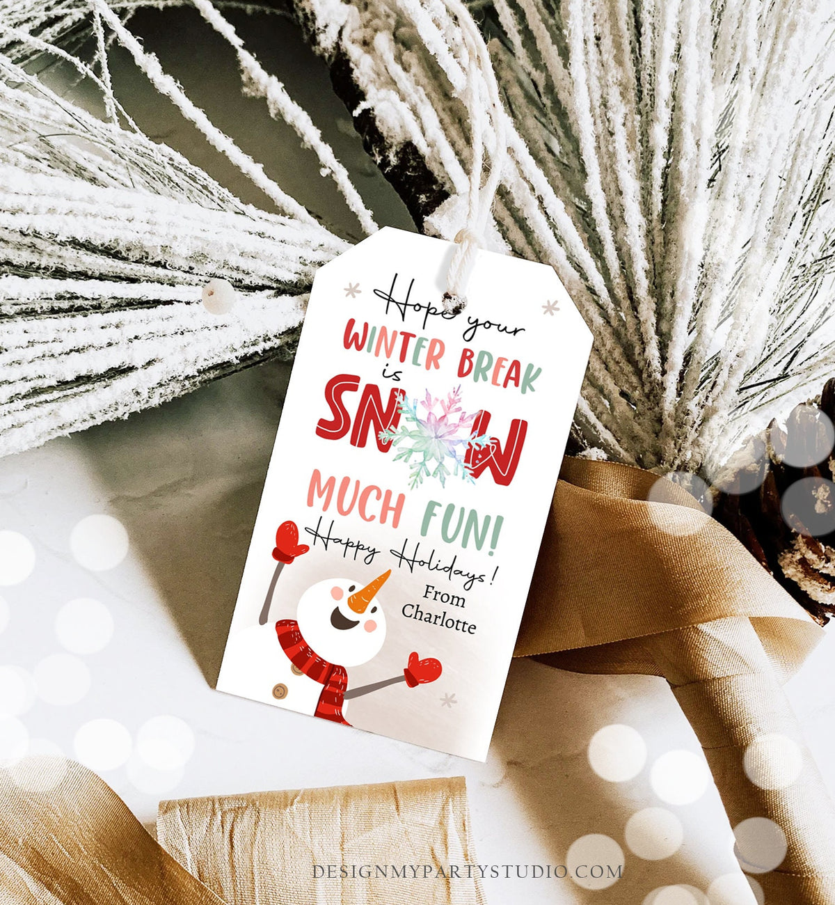 Editable Hope Your Winter Break is Snow Much Fun Favor Gift Tag Christmas Holiday Teacher Student Preschool Digital Template Printable 0443