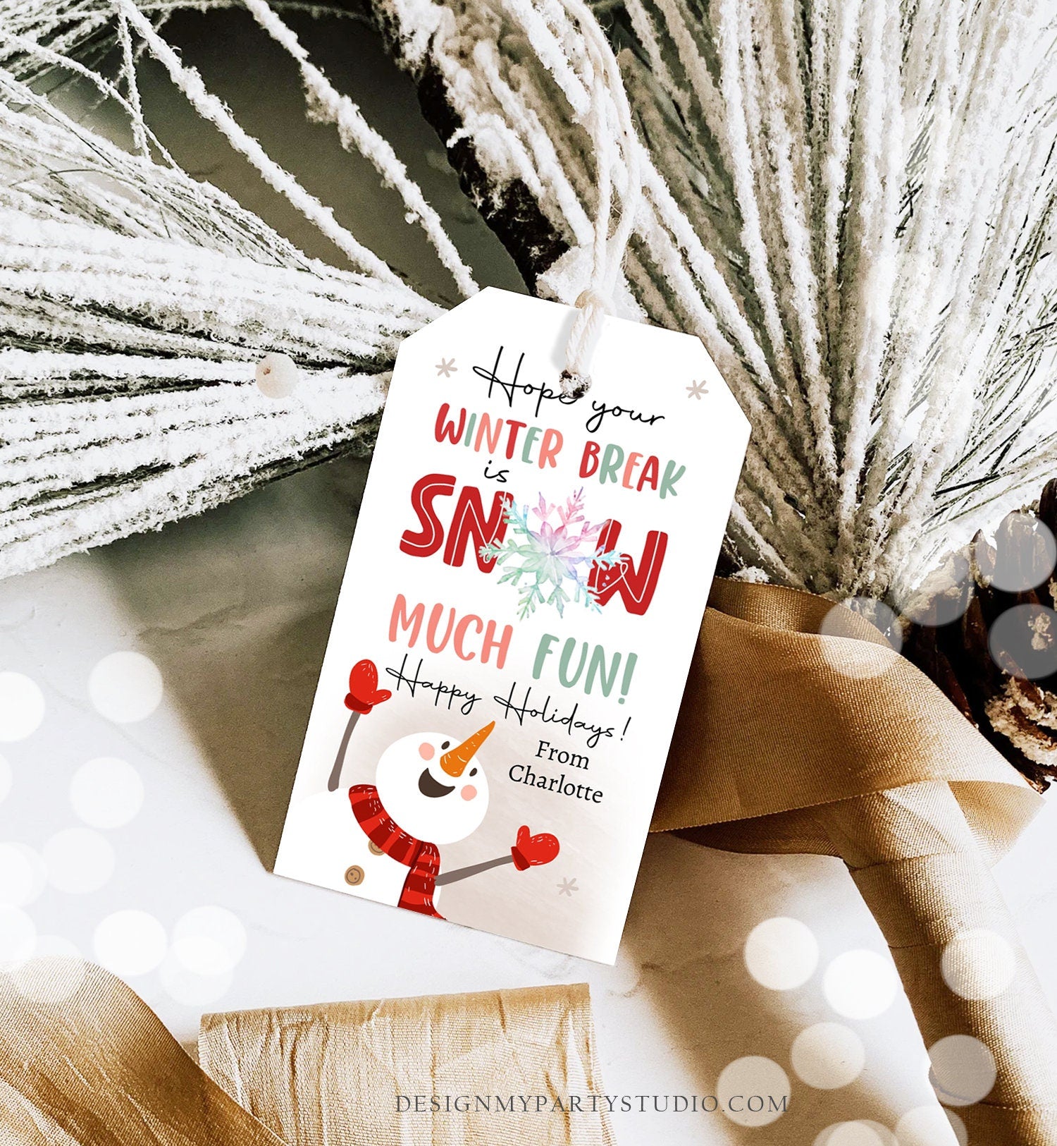 Editable Hope Your Winter Break is Snow Much Fun Favor Gift Tag Christmas Holiday Teacher Student Preschool Digital Template Printable 0443