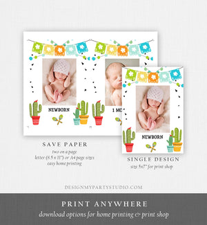 Editable Taco Fiesta Monthly Photo Banner First Birthday Banner Boy Girl Birthday Party Mexican Cactus Decor Summer Corjl Template 0161