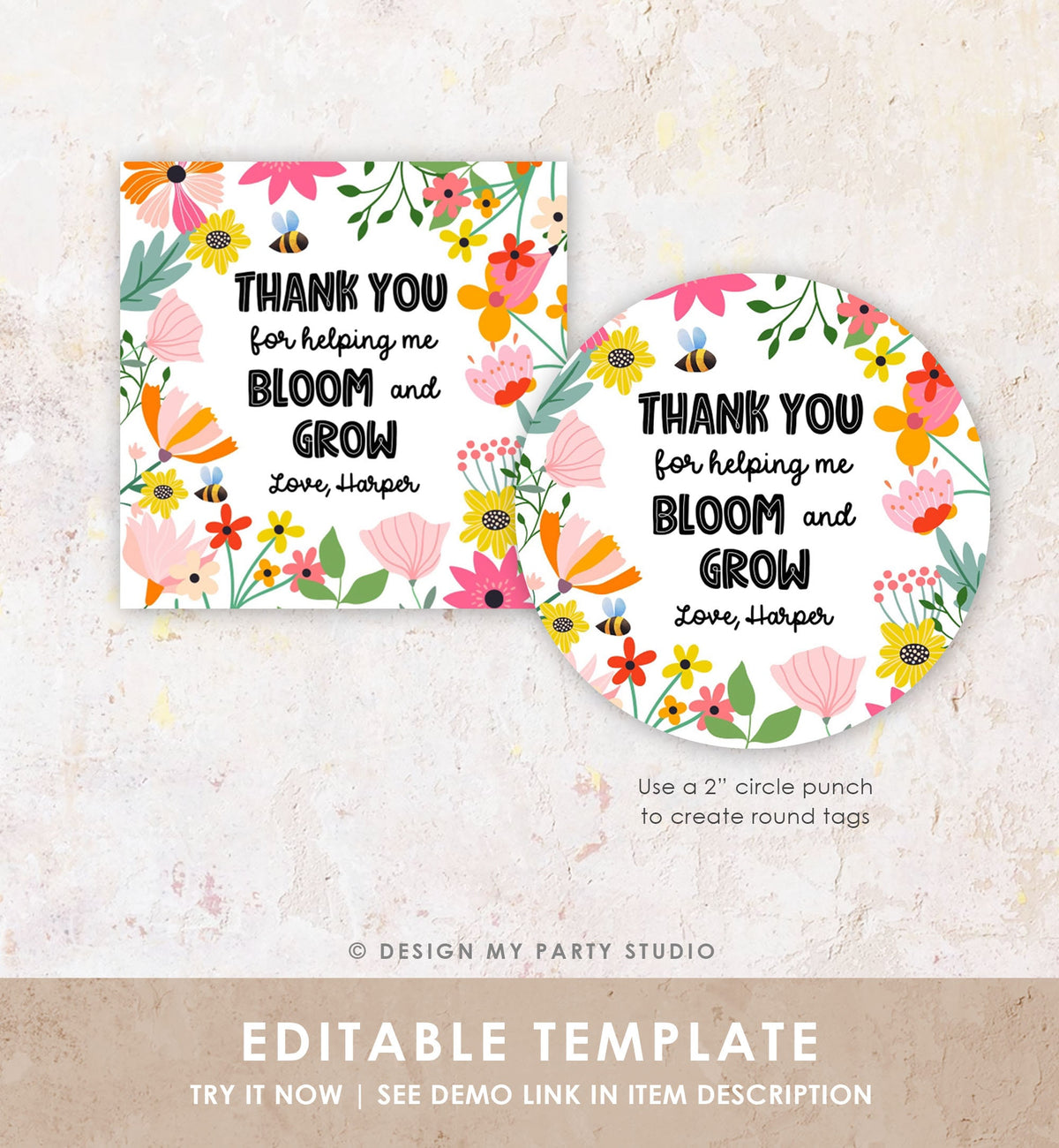 Editable Teacher Appreciation Tag Thank You for Helping me Bloom Plant Flower Gift Tag Cactus Plant Tag Digital Template Printable 0464