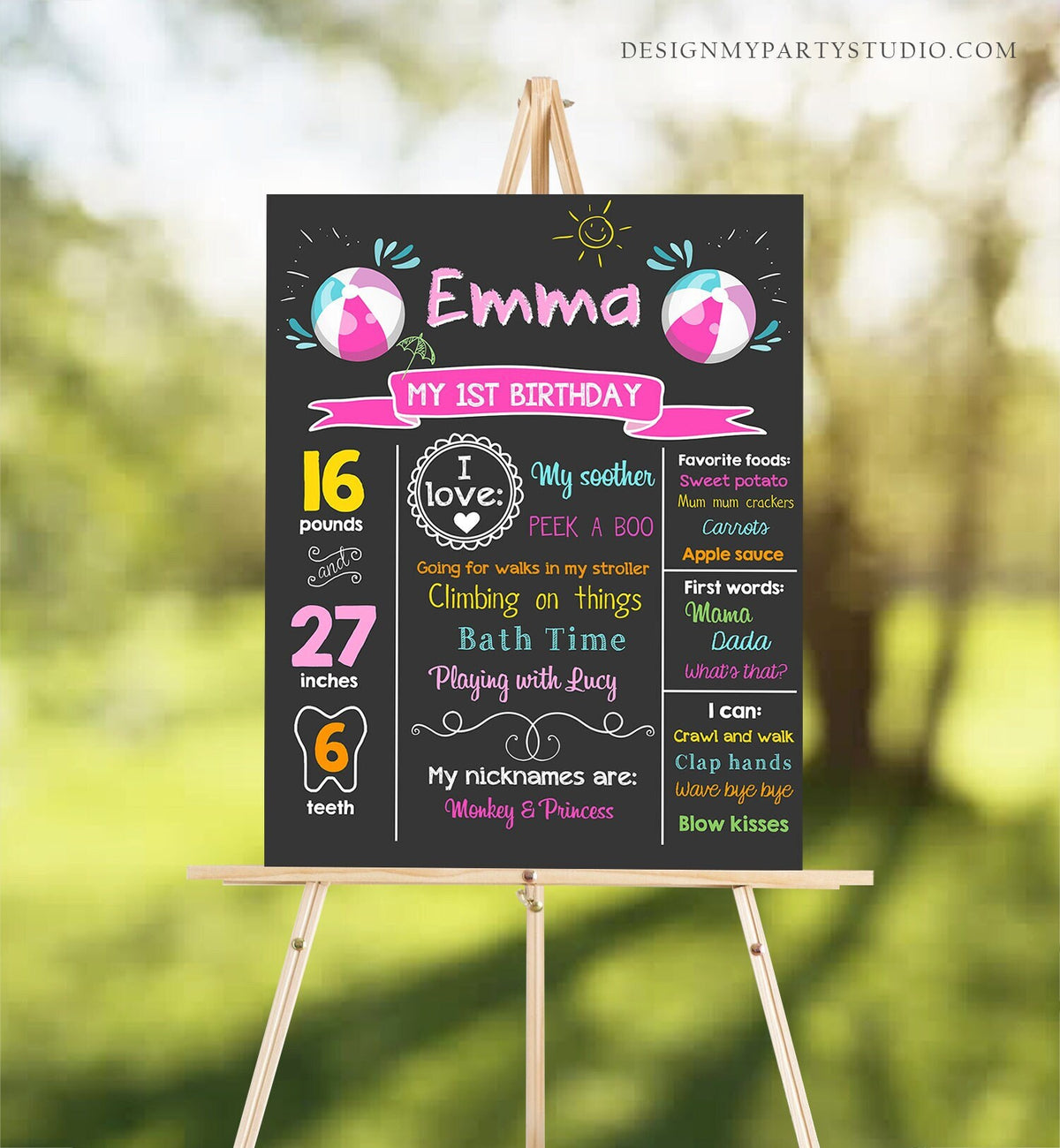 Editable Pool Party Birthday Milestones Poster Birthday Chalkboard Splish Splash Ball 1st Birthday Girl Pink Download Printable Corjl 0169