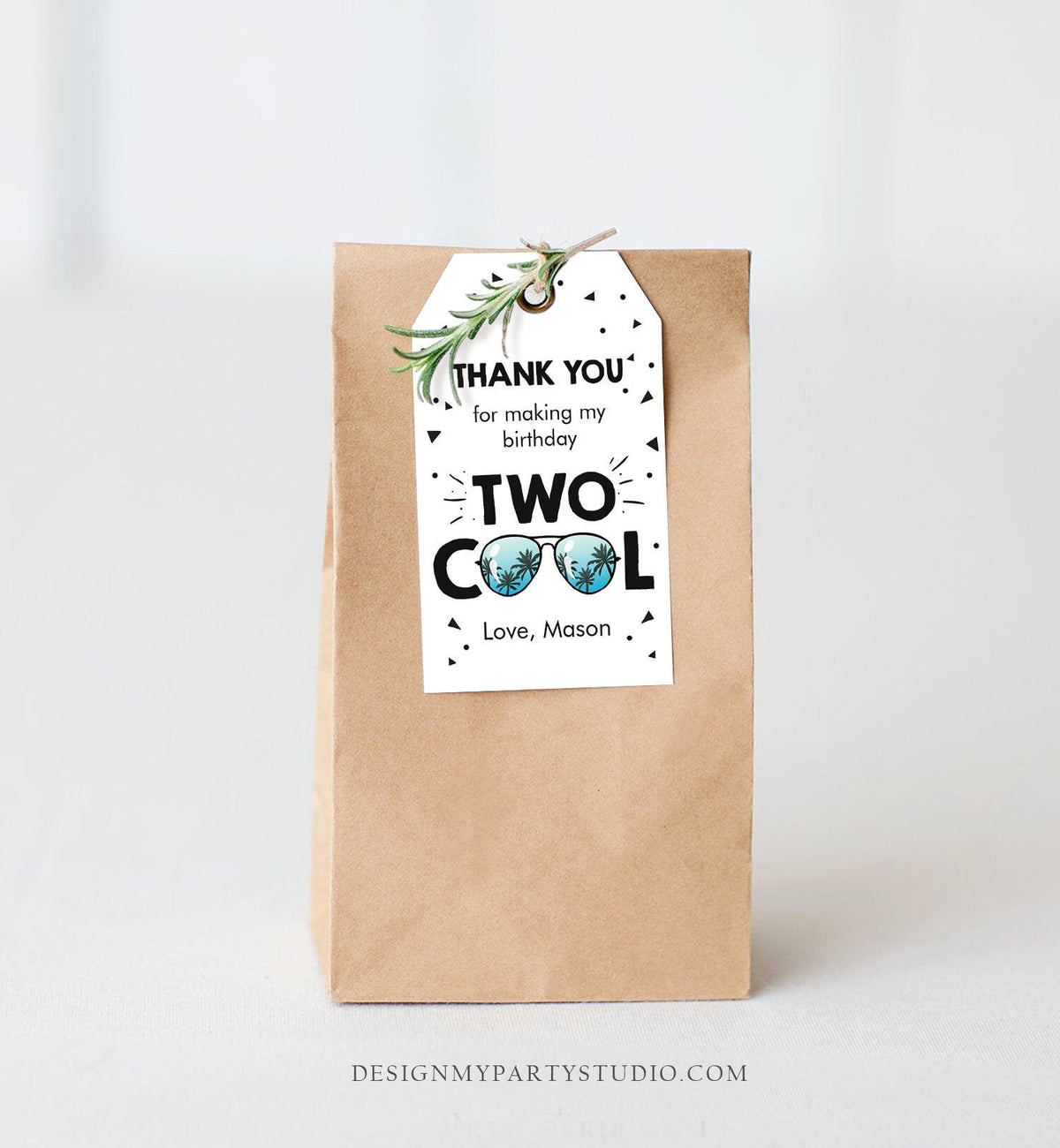 Editable Two Cool Favor Tag Birthday Thank You Tag Boy Second 2nd Birthday Gift Tag Sunglasses Palm Digital Corjl Template Printable 0136