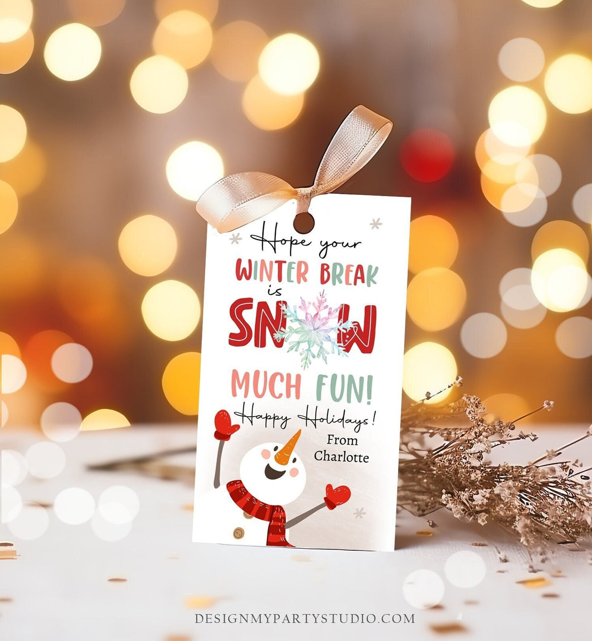 Editable Hope Your Winter Break is Snow Much Fun Favor Gift Tag Christmas Holiday Teacher Student Preschool Digital Template Printable 0443