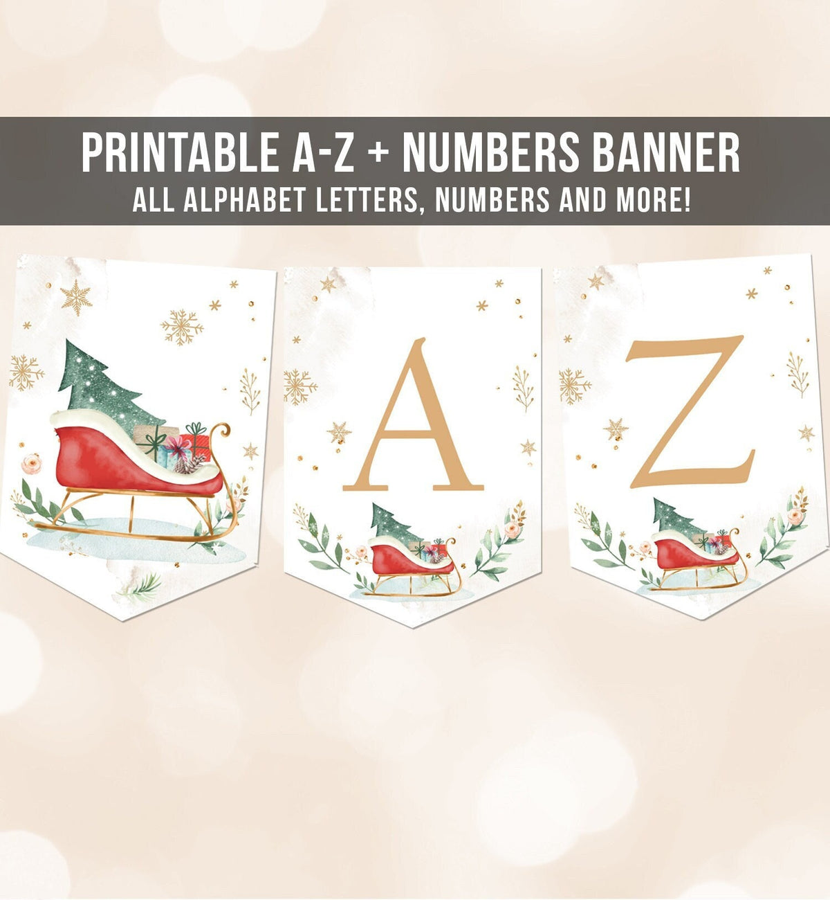Sleigh Winter Banner A-Z Alphabet Numbers Banner Winter Onederland Decor Magical Christmas Sleigh Happy Birthday Digital Printable 0353