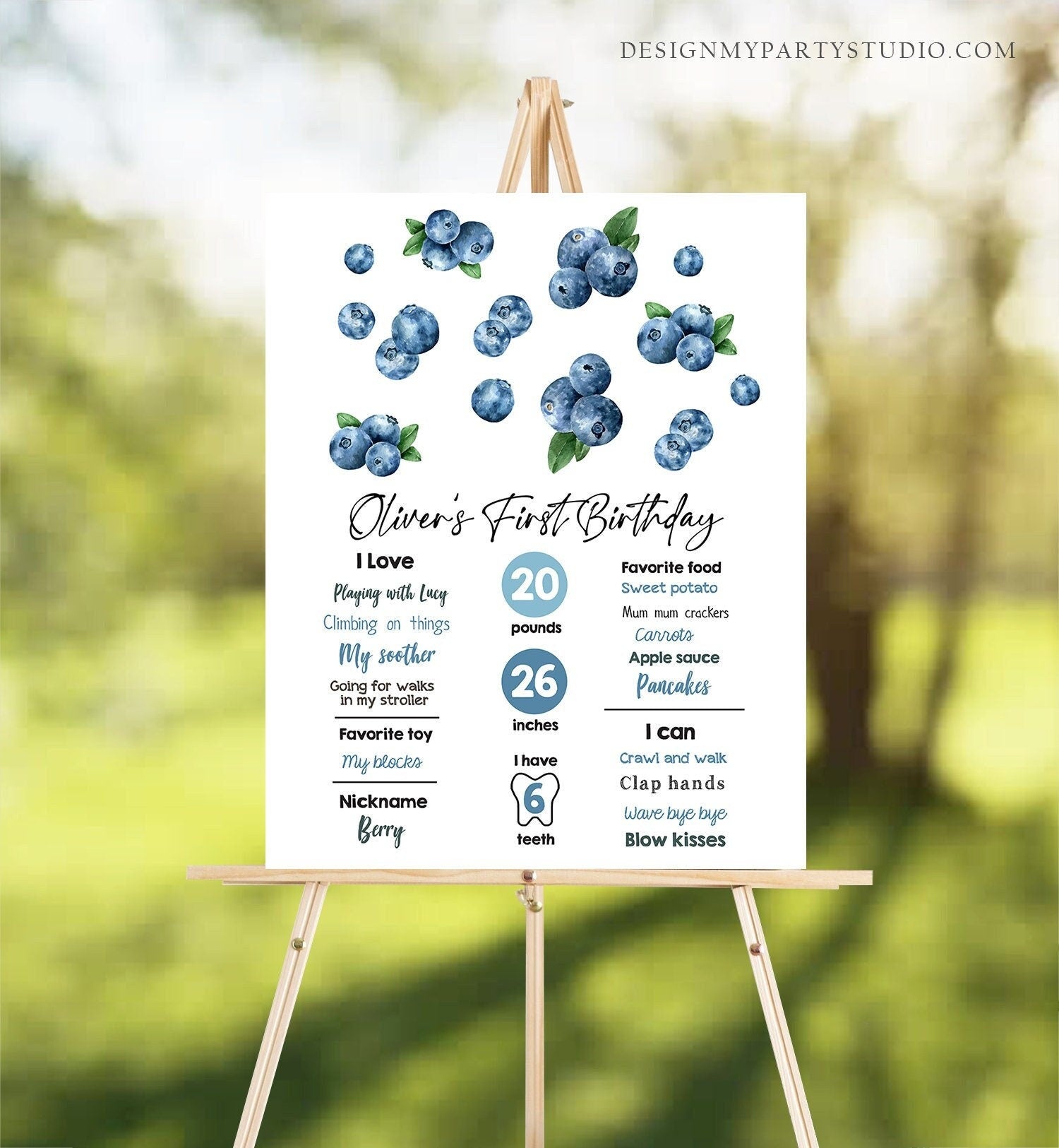 Editable Berry First Birthday Milestone Sign Blueberry First 1st Boy Farmers Market Blueberries Digital Download Template Printable 0399