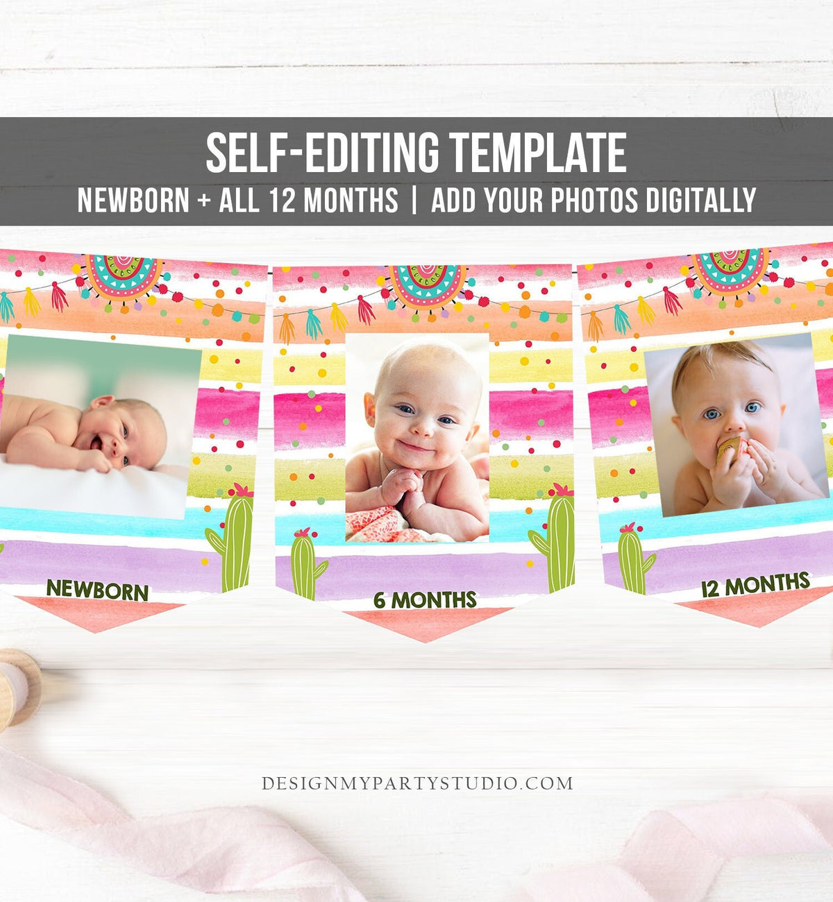 Editable Fiesta First Birthday Banner Monthly Photo Banner Cactus Succulent Party Girl Mexican Download Digital Template Printable 0134