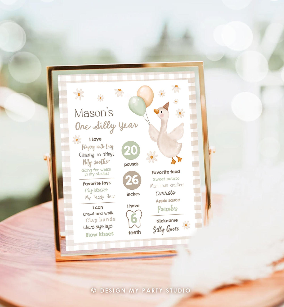 Editable One Silly Goose Birthday Milestone Sign Goose 1st Birthday Neutral Boy First Year Stats Poster Farm Digital Template Printable 0540