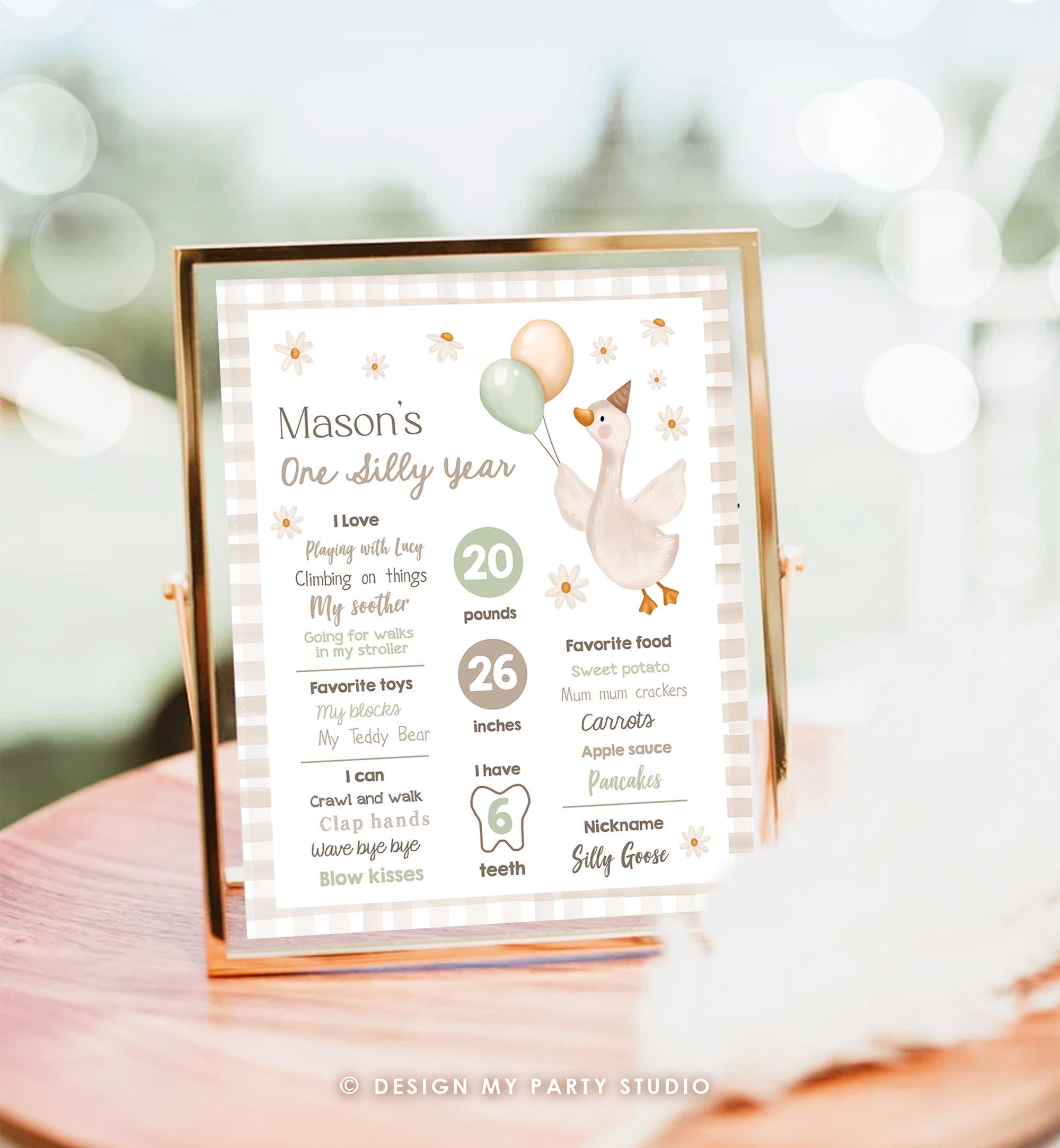 Editable One Silly Goose Birthday Milestone Sign Goose 1st Birthday Neutral Boy First Year Stats Poster Farm Digital Template Printable 0540