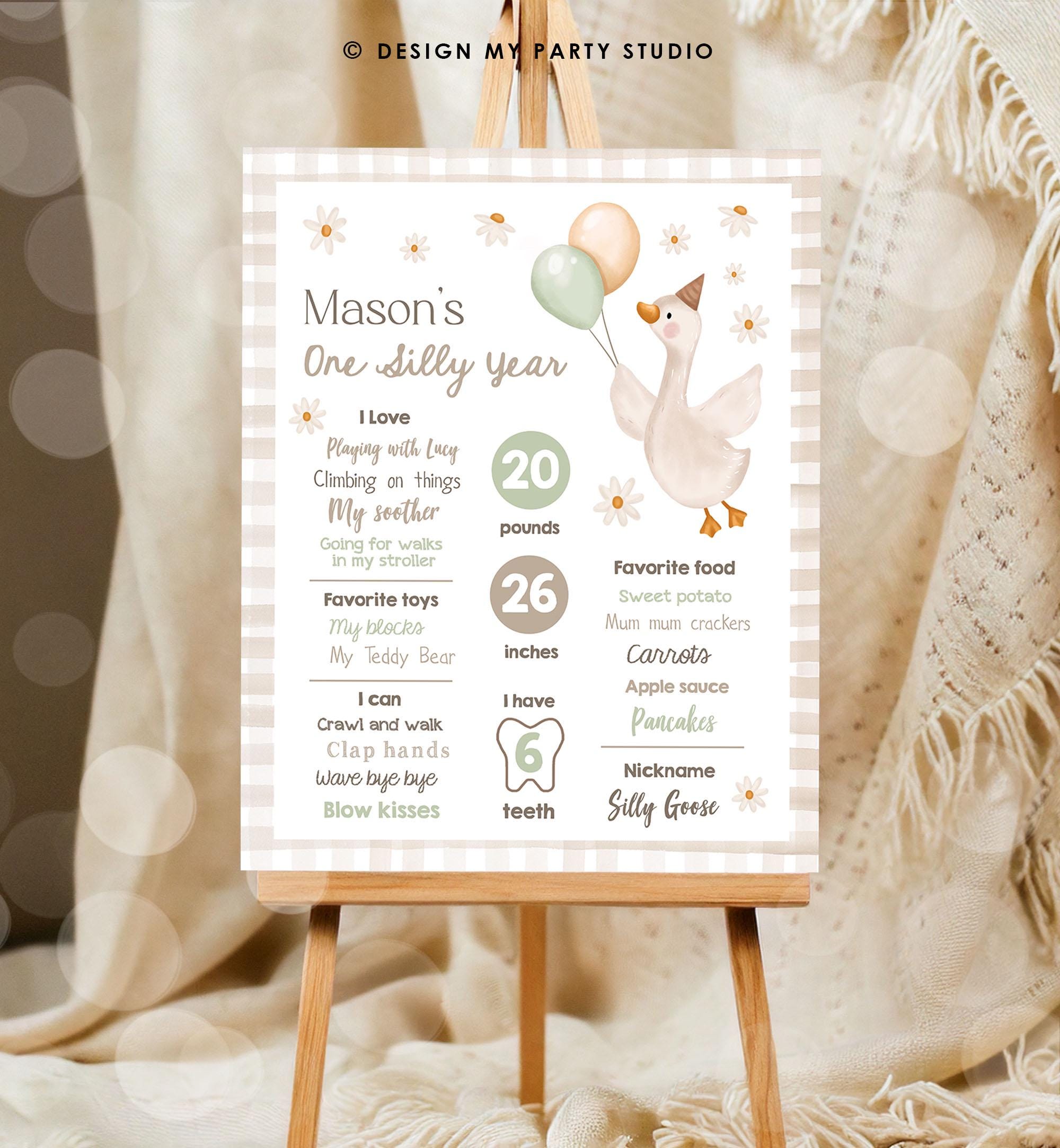 Editable One Silly Goose Birthday Milestone Sign Goose 1st Birthday Neutral Boy First Year Stats Poster Farm Digital Template Printable 0540