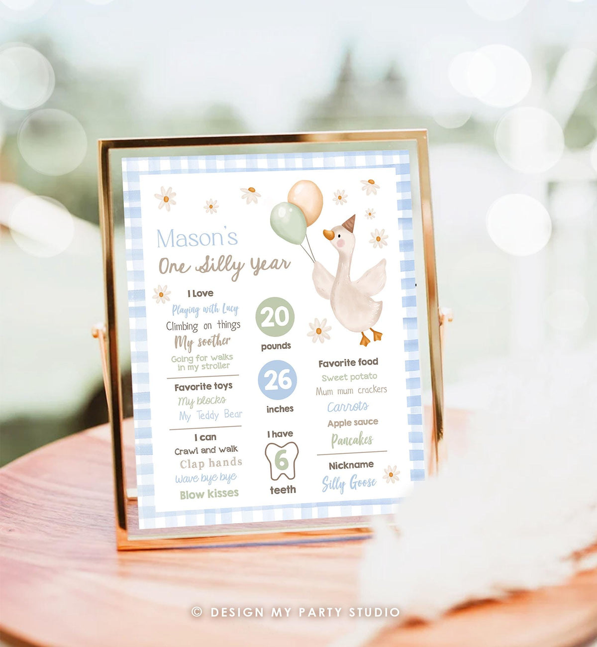 Editable One Silly Goose Birthday Milestone Sign Goose 1st Birthday Blue Boy First Year Stats Poster Farm Digital Template Printable 0540