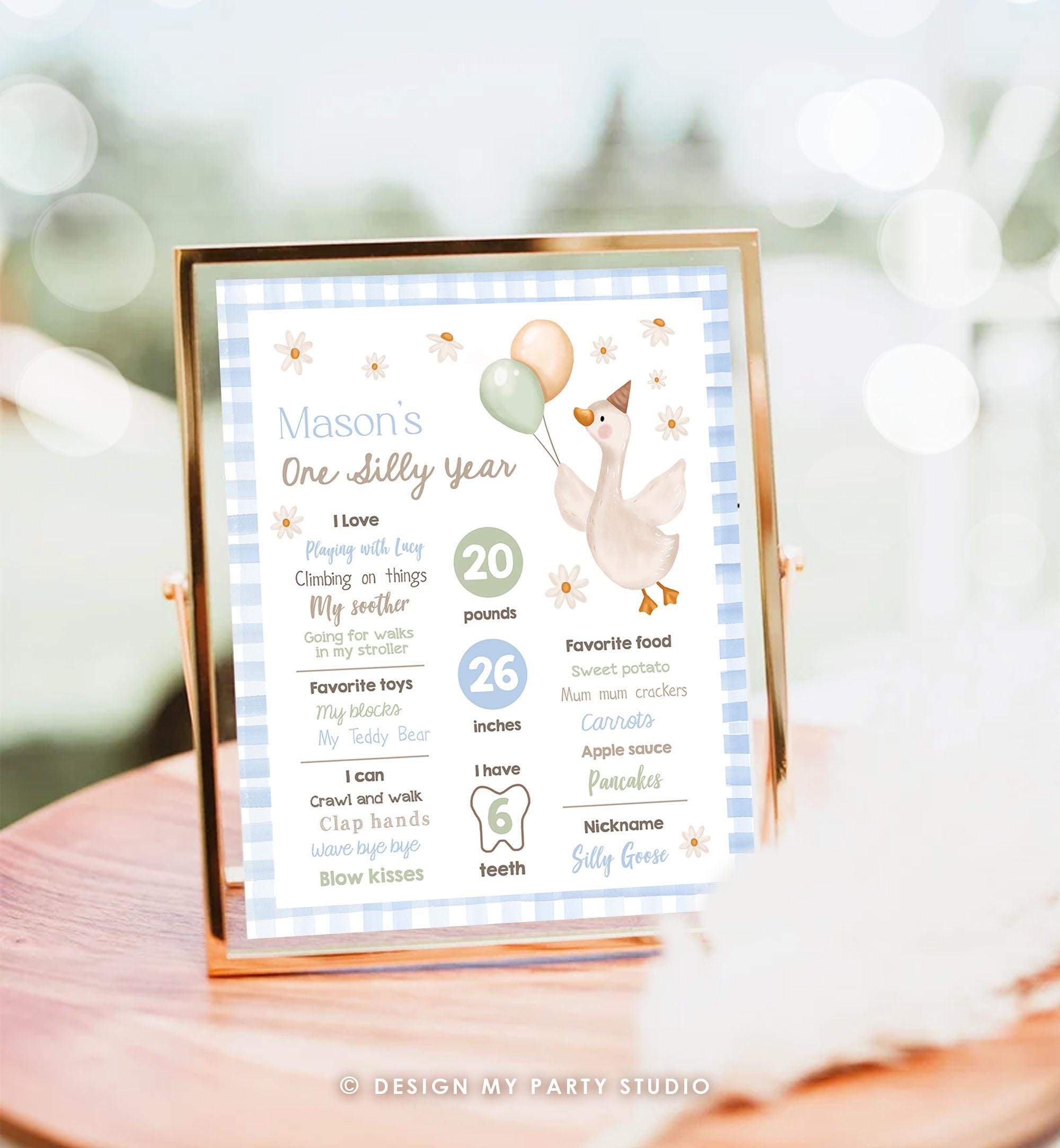 Editable One Silly Goose Birthday Milestone Sign Goose 1st Birthday Blue Boy First Year Stats Poster Farm Digital Template Printable 0540