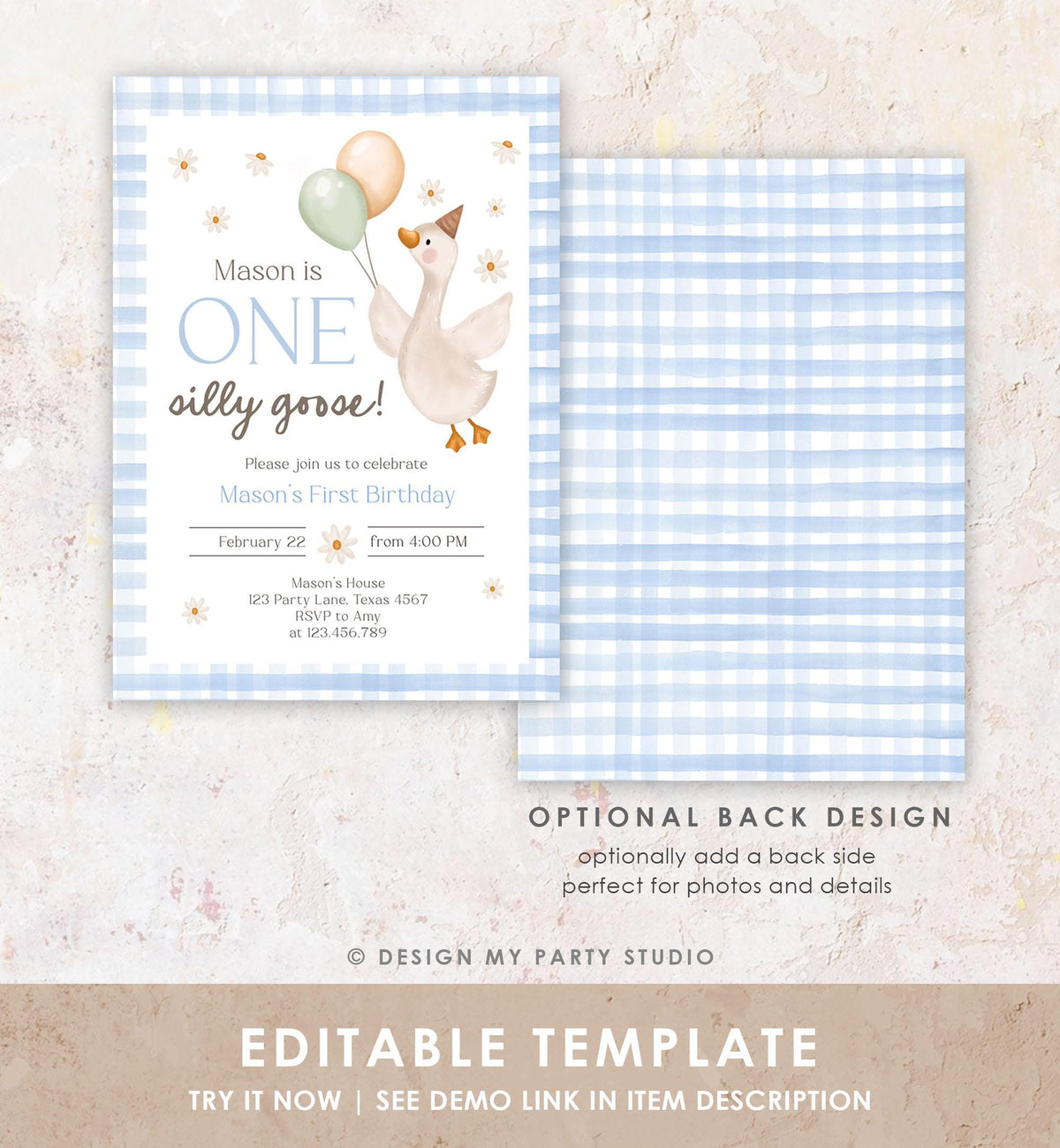 Editable Silly Goose Birthday Invitation Boy Spring Birthday Party Farm Goose 1st Birthday Blue Digital Download Template Printable 0540