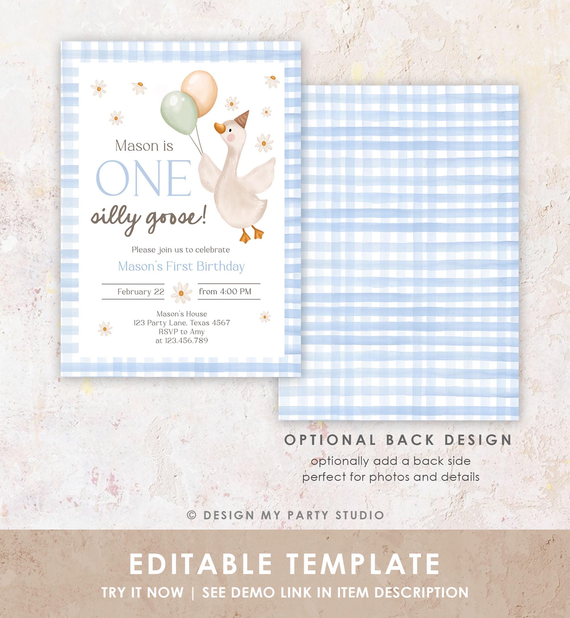 Editable Silly Goose Birthday Invitation Boy Spring Birthday Party Farm Goose 1st Birthday Blue Digital Download Template Printable 0540