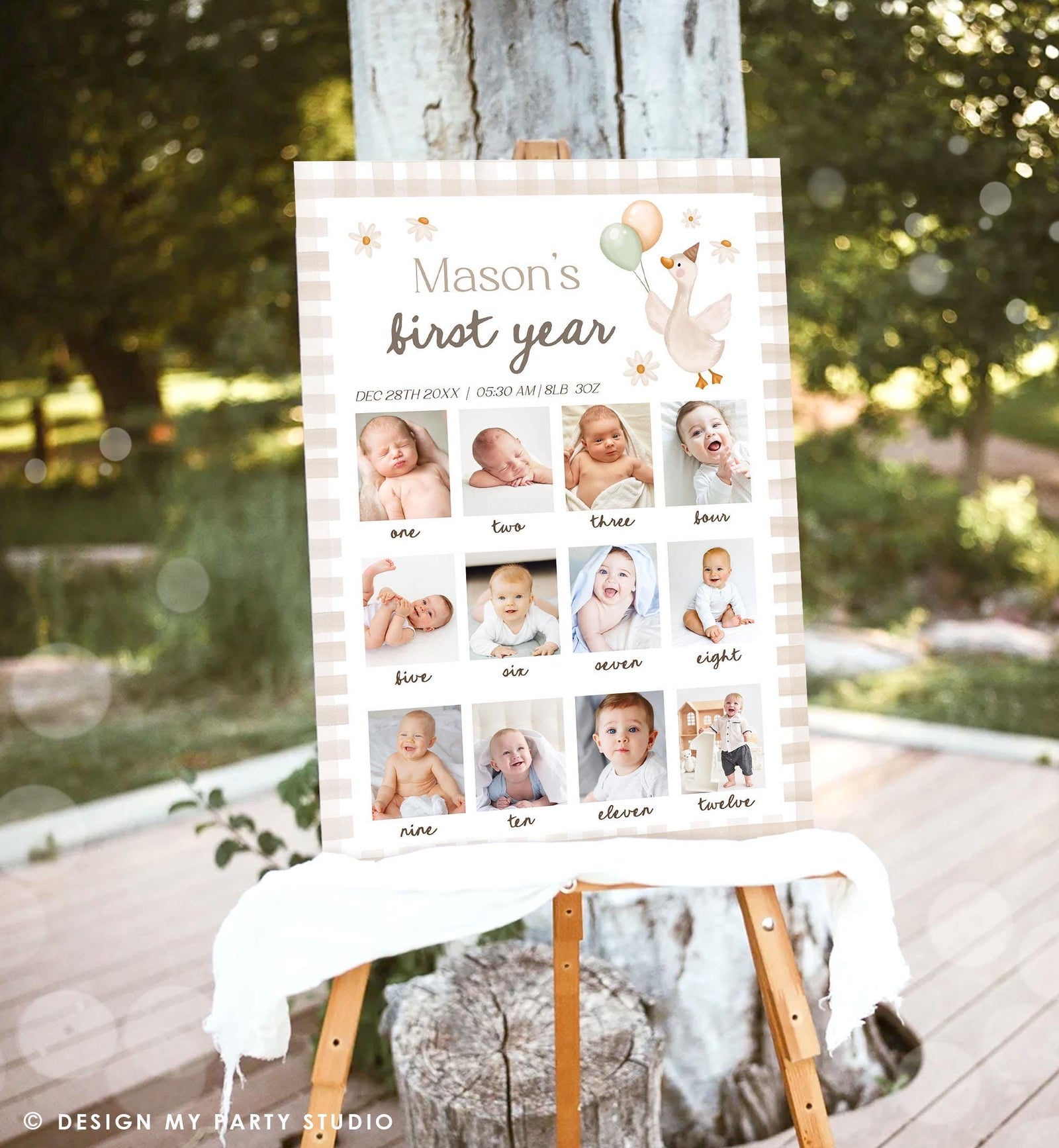 Editable One Silly Goose First Birthday Photo Board Neutral Banner Monthly Photo Sign 1st Birthday Poster Teddy Template Printable 0540