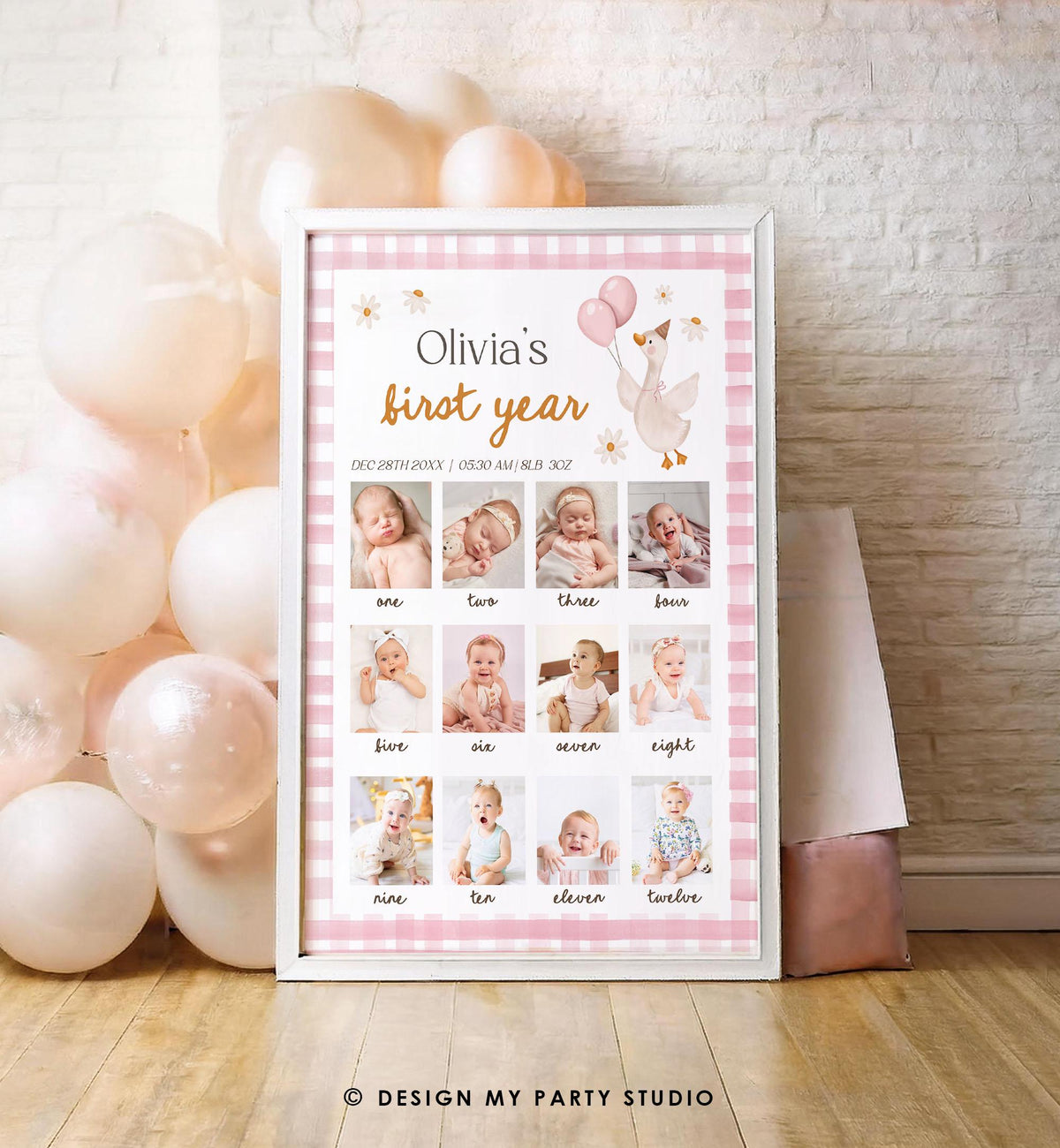 Editable One Silly Goose First Birthday Photo Board Girl Pink Banner Monthly Photo Sign 1st Birthday Poster Teddy Template Printable 0540