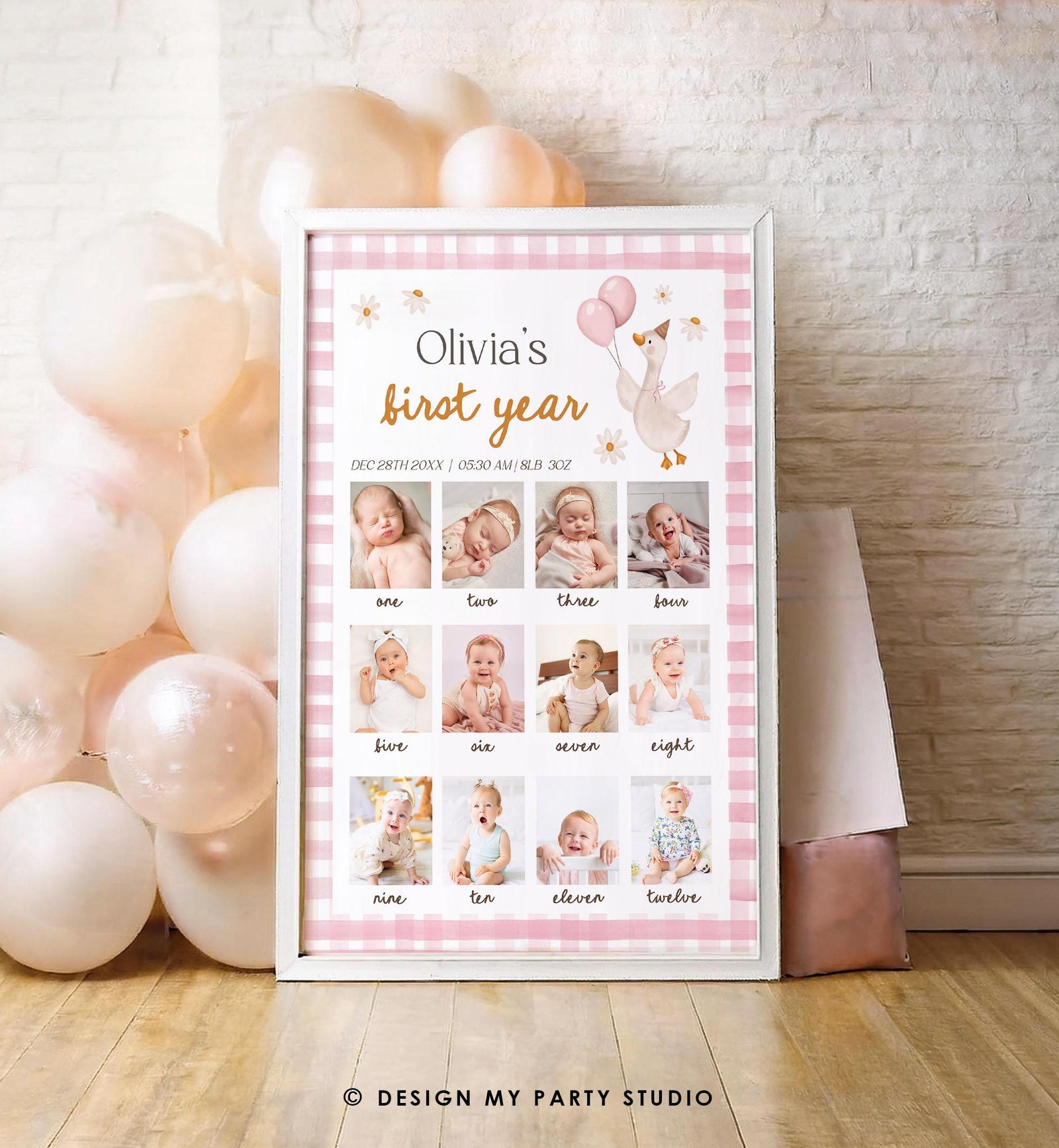 Editable One Silly Goose First Birthday Photo Board Girl Pink Banner Monthly Photo Sign 1st Birthday Poster Teddy Template Printable 0540