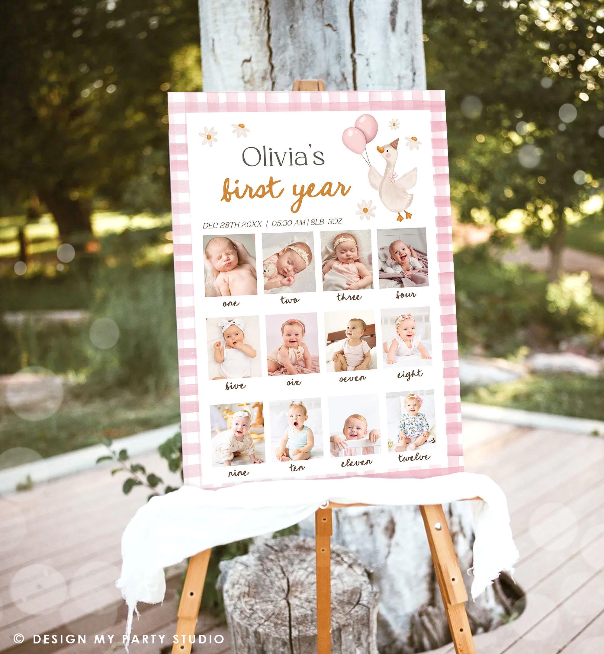Editable One Silly Goose First Birthday Photo Board Girl Pink Banner Monthly Photo Sign 1st Birthday Poster Teddy Template Printable 0540