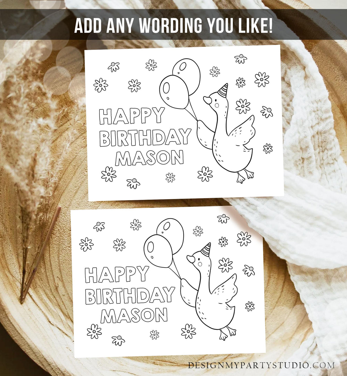 Editable Coloring Page One Silly Goose Birthday Party Activity Game Goose Birthday Farm Animal Boy Daisy Download Printable Digital 0540