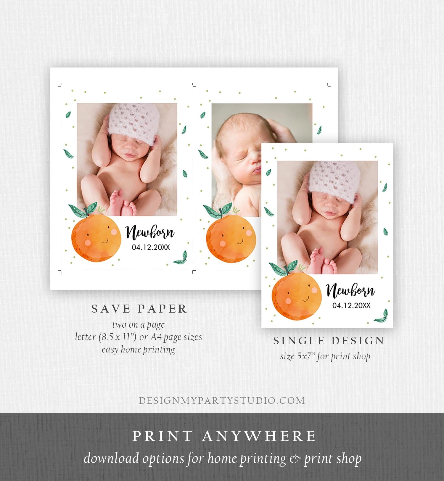 Editable Little Cutie Monthly Photo Banner Boy Girl Birthday Oranges Citrus Cuties Clementine Decor Digital Download Template Printable 0330