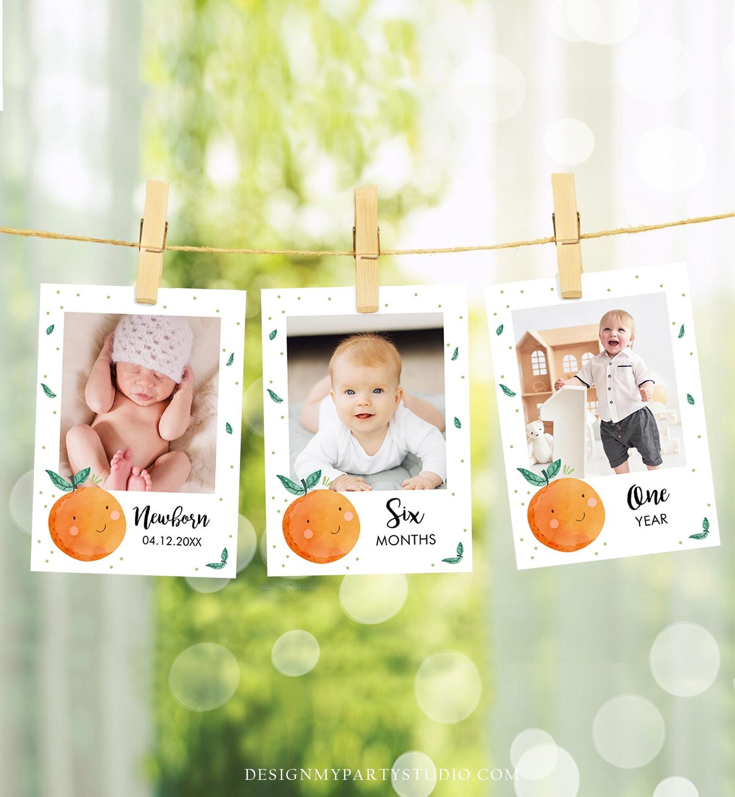 Editable Little Cutie Monthly Photo Banner Boy Girl Birthday Oranges Citrus Cuties Clementine Decor Digital Download Template Printable 0330