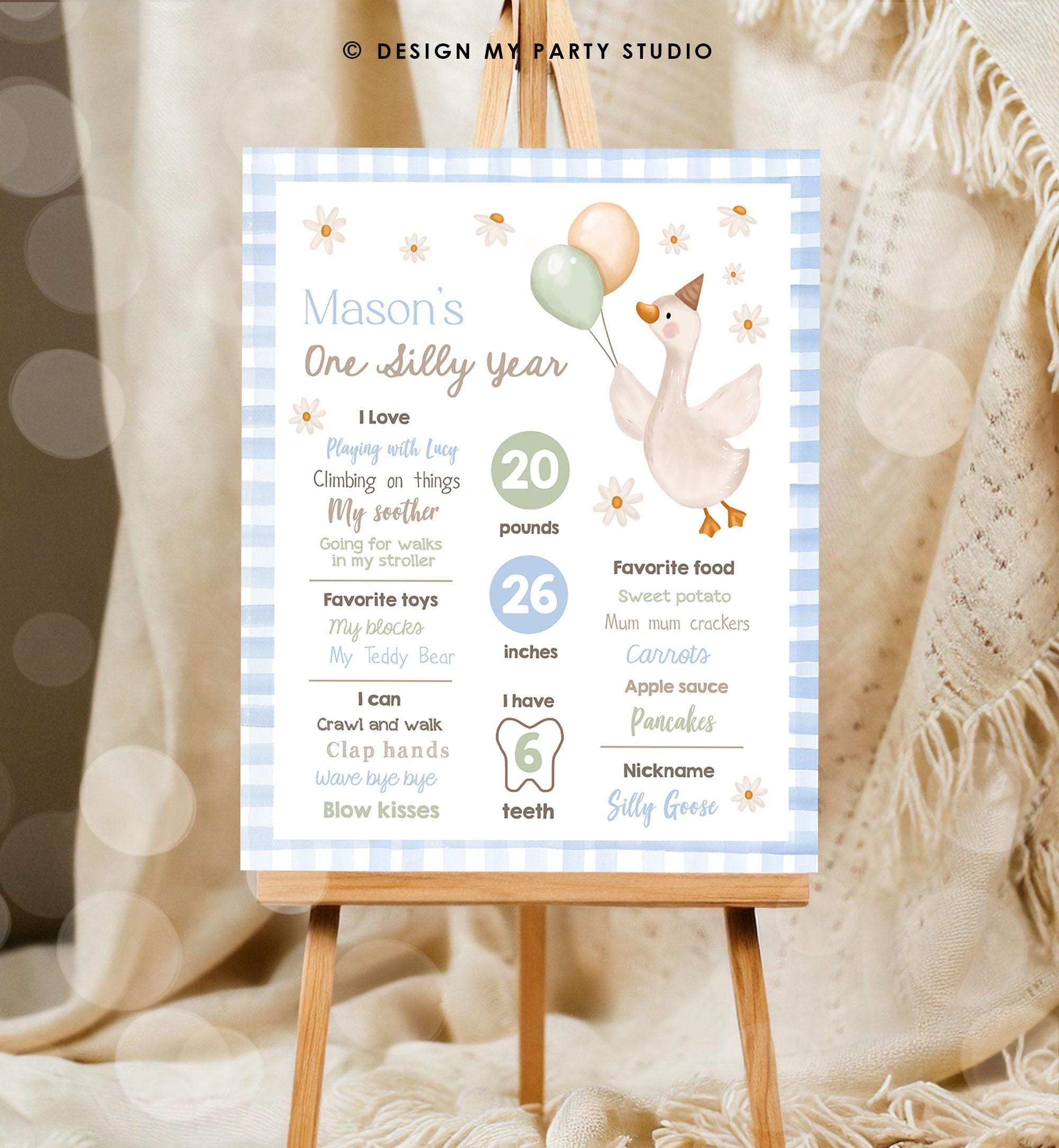 Editable One Silly Goose Birthday Milestone Sign Goose 1st Birthday Blue Boy First Year Stats Poster Farm Digital Template Printable 0540
