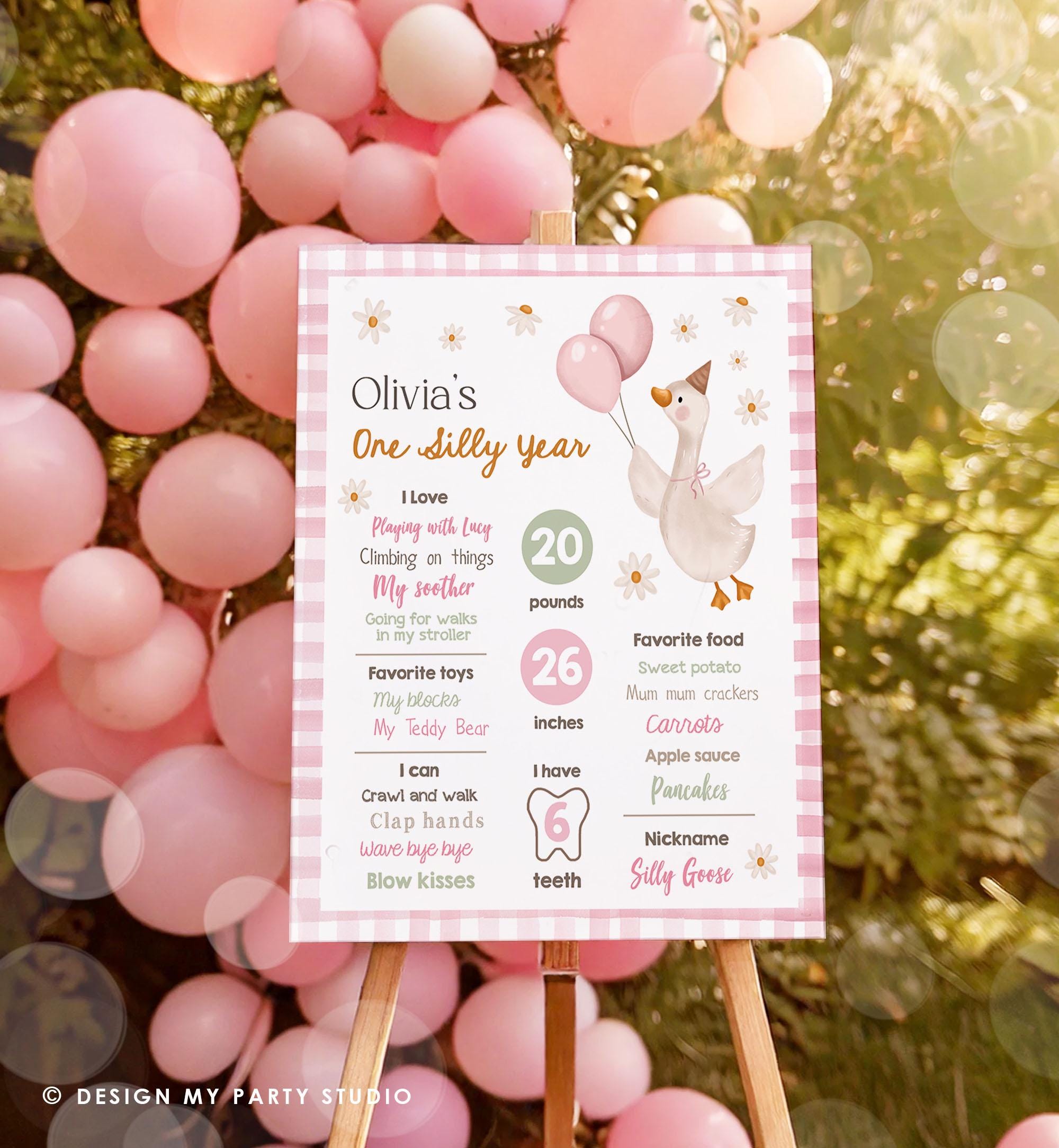 Editable One Silly Goose Birthday Milestone Sign Goose 1st Birthday Pink Girl First Year Stats Poster Farm Digital Template Printable 0540