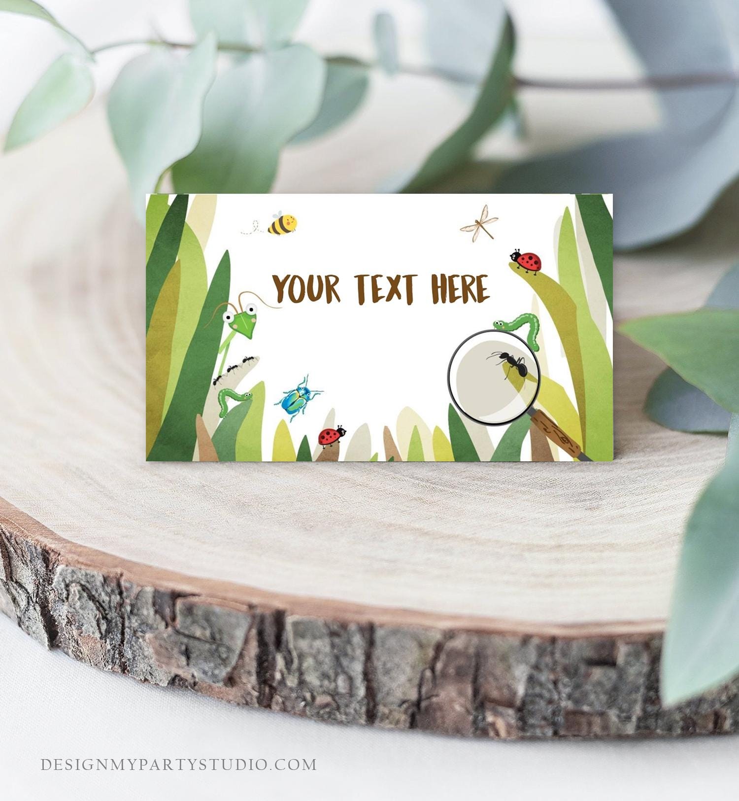 Editable Food Labels Bug Birthday Insect Party Place Card Tent Card Insert Card Bug Boy Bug hunt Bug Party Outdoor Template Printable 0090