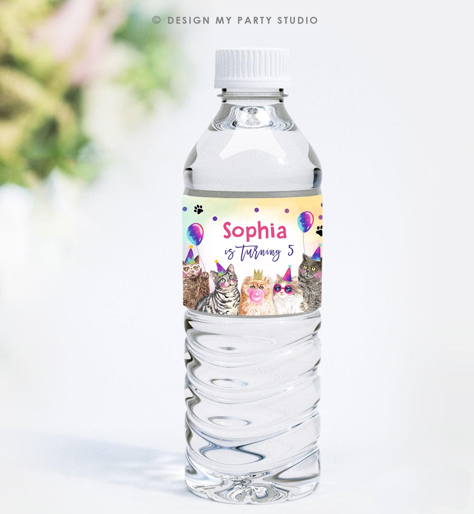 Editable Cats Water Bottle Labels Kitten Birthday Pawty Party Kitten Pet Cat Decor Bottle Wrap Digital Template Printable 0460