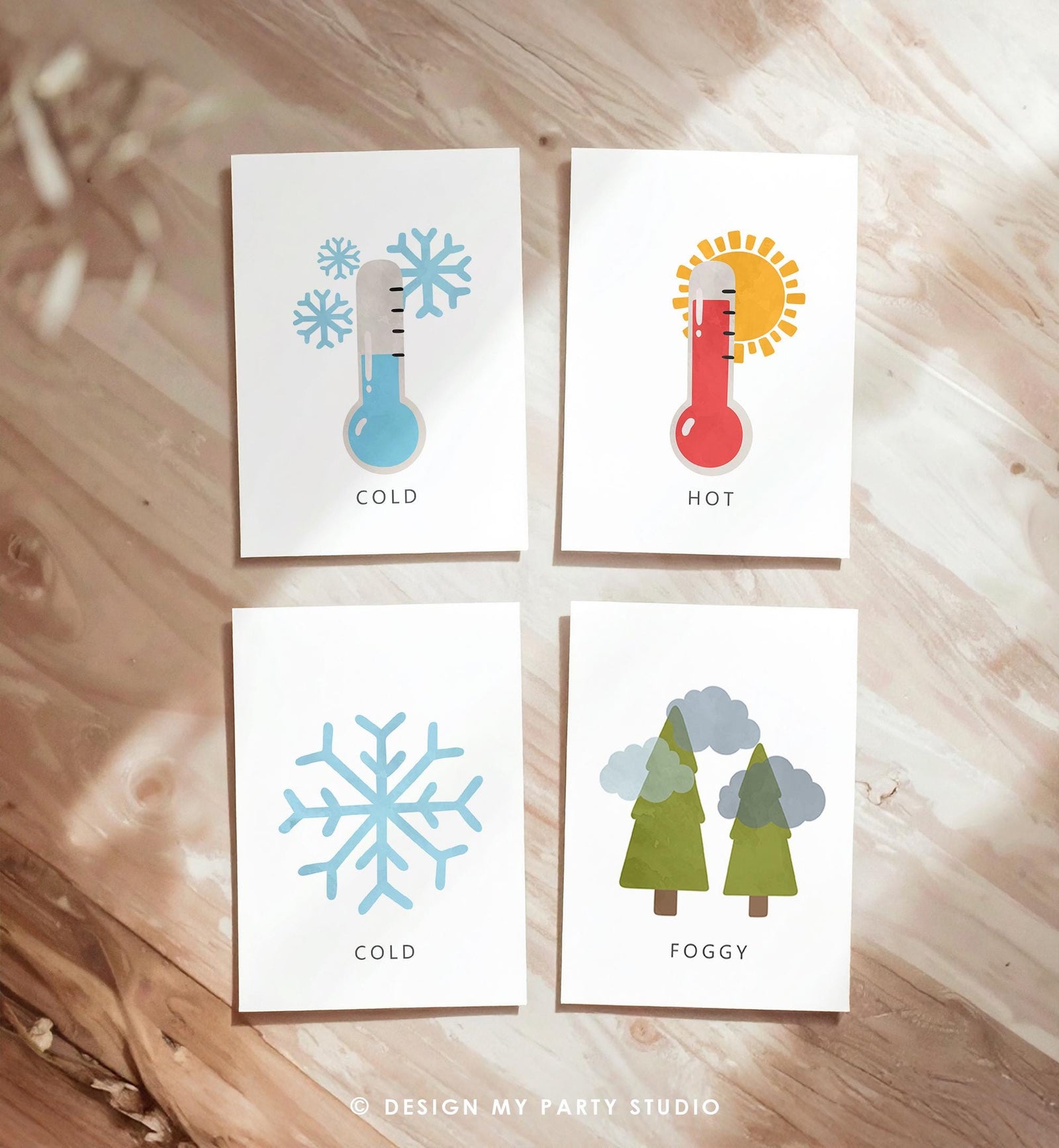 16 Weather Flash Cards Educational Flashcards Forecast Graph Rainbow Colors Montessori Classroom Decor Digital Download Printable 0550