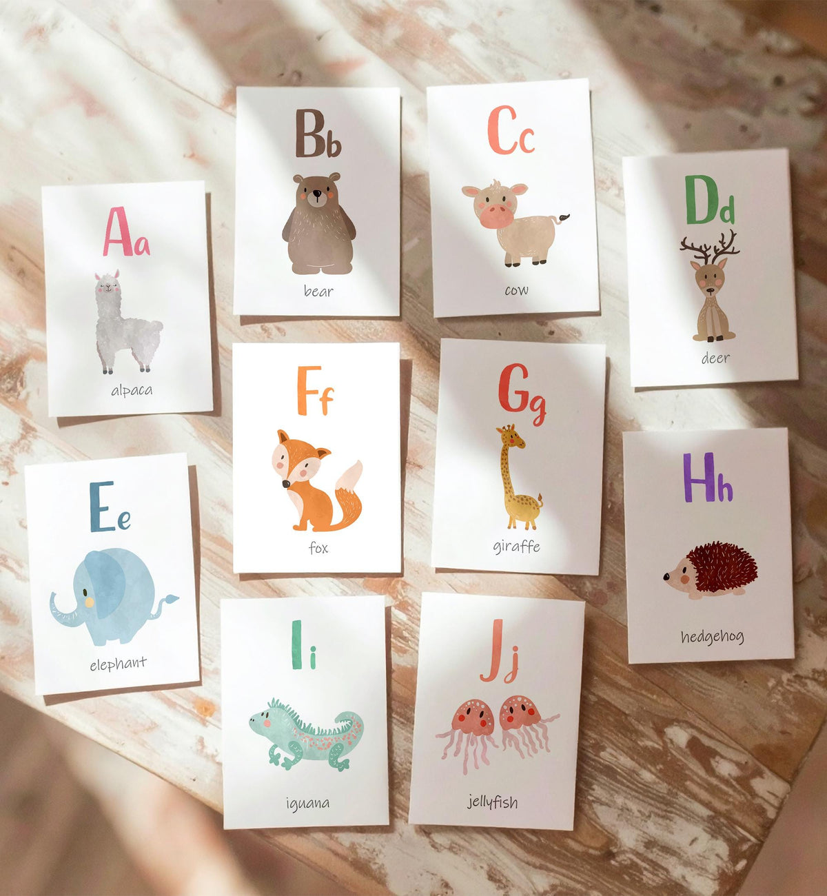 ABC Animals Flash Cards Alphabet Educational Learn ABCs Kids Rainbow Colors Flashcards Classroom A to Z Digital Download Printable 0550