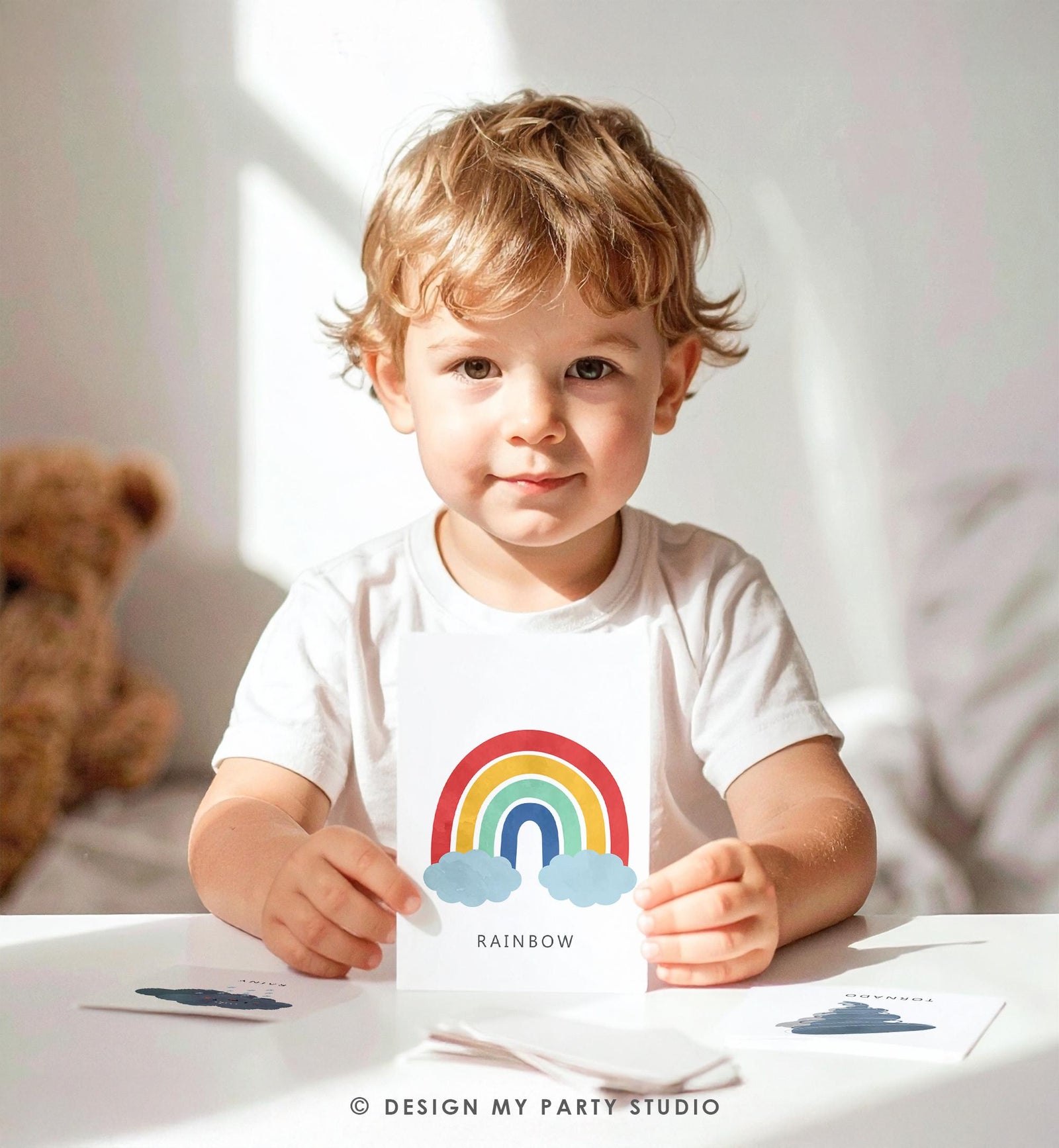 16 Weather Flash Cards Educational Flashcards Forecast Graph Rainbow Colors Montessori Classroom Decor Digital Download Printable 0550