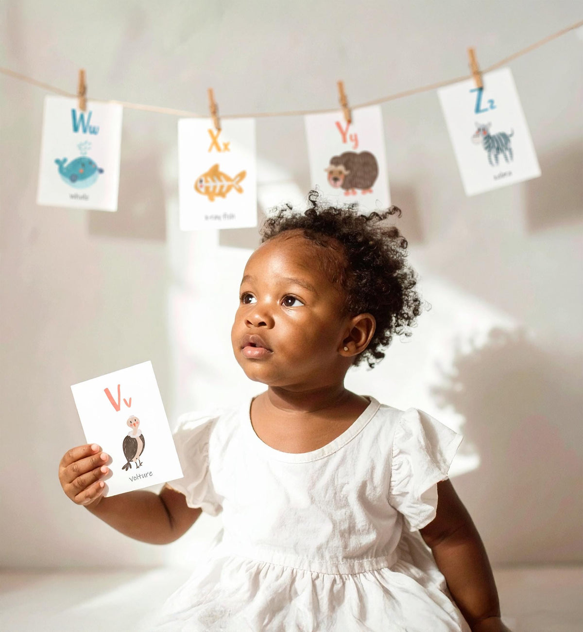 ABC Animals Flash Cards Alphabet Educational Learn ABCs Kids Rainbow Colors Flashcards Classroom A to Z Digital Download Printable 0550