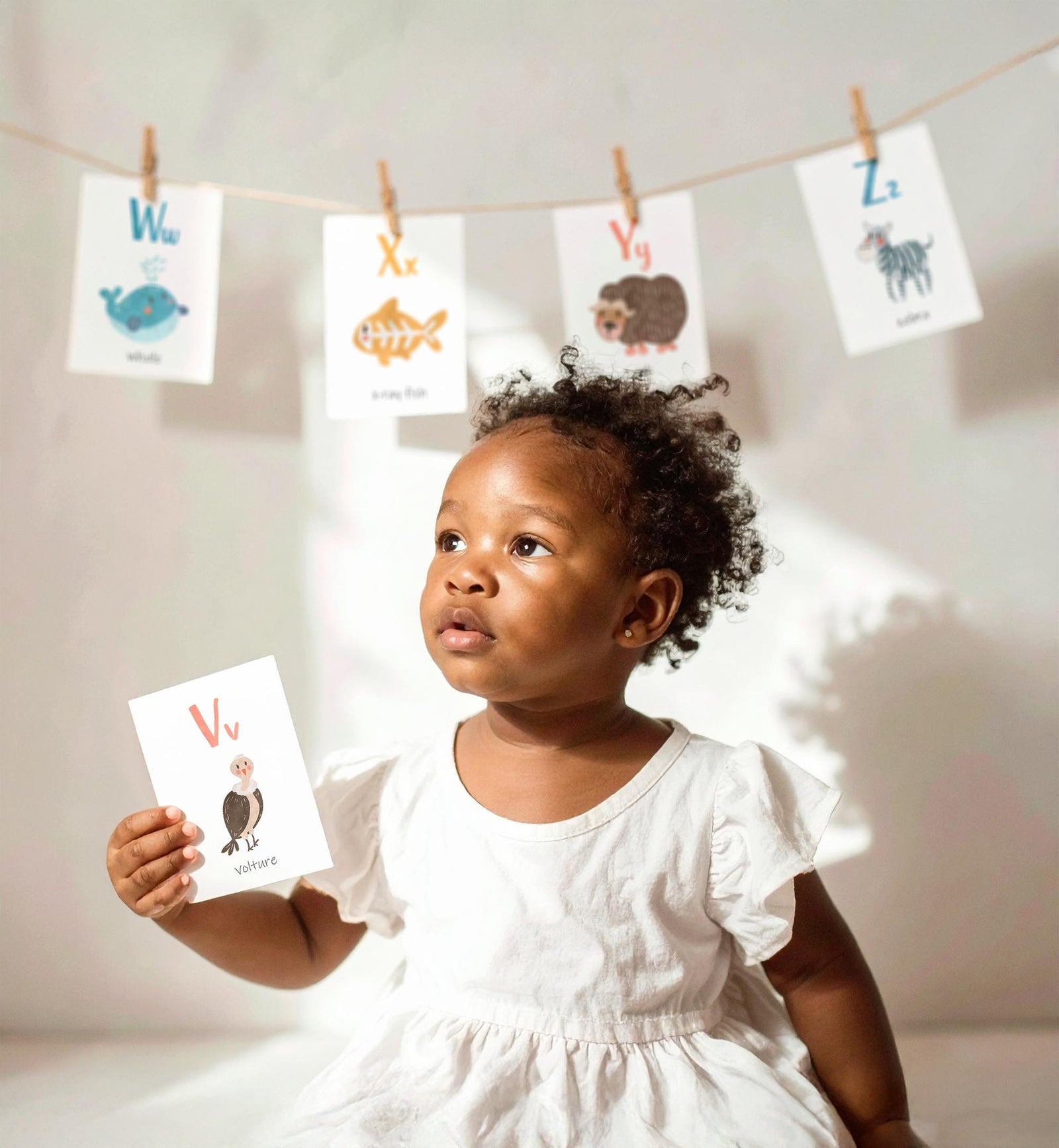 ABC Animals Flash Cards Alphabet Educational Learn ABCs Kids Rainbow Colors Flashcards Classroom A to Z Digital Download Printable 0550