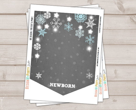 Winter Onederland First birthday banner Monthly Photo Banner Winter Onederland Banner Birthday Snowflakes Boy party PRINTABLE Digital 0057