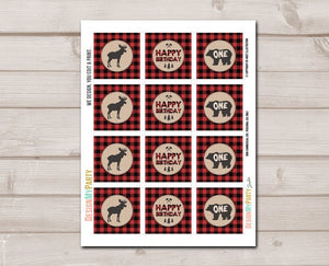 Lumberjack Cupcake Toppers Favor Tags Birthday Party Decoration Buffalo Plaid Woodland Birthday Party Decor download Digital PRINTABLE 0026