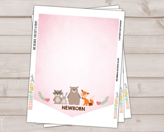 Woodland First birthday banner Monthly Photo Banner Woodland Banner Birthday Forest Animals Pink Girl Birthday Bear PRINTABLE Digital 0010