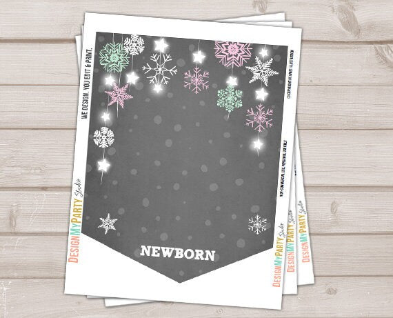 Winter Onederland First birthday banner Monthly Photo Banner Winter Banner Birthday Snowflakes Girl Pink party PRINTABLE Digital 0057