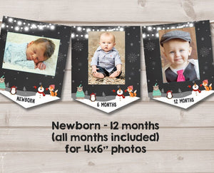 Winter Onederland First birthday banner Monthly Photo Banner Winter Onederland Woodland Birthday Snowflakes Boy party PRINTABLE Digital 0022