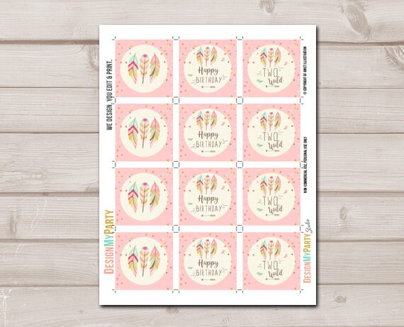 Two Wild Cupcake Toppers Favor Tags Birthday Party Decor Stickers Pink Gold Feathers Tribal 2nd Birthday download Digital PRINTABLE 0073