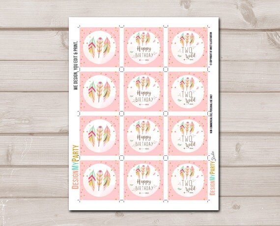 Two Wild Cupcake Toppers Favor Tags Birthday Party Decor Stickers Pink Gold Feathers Tribal 2nd Birthday download Digital PRINTABLE 0073