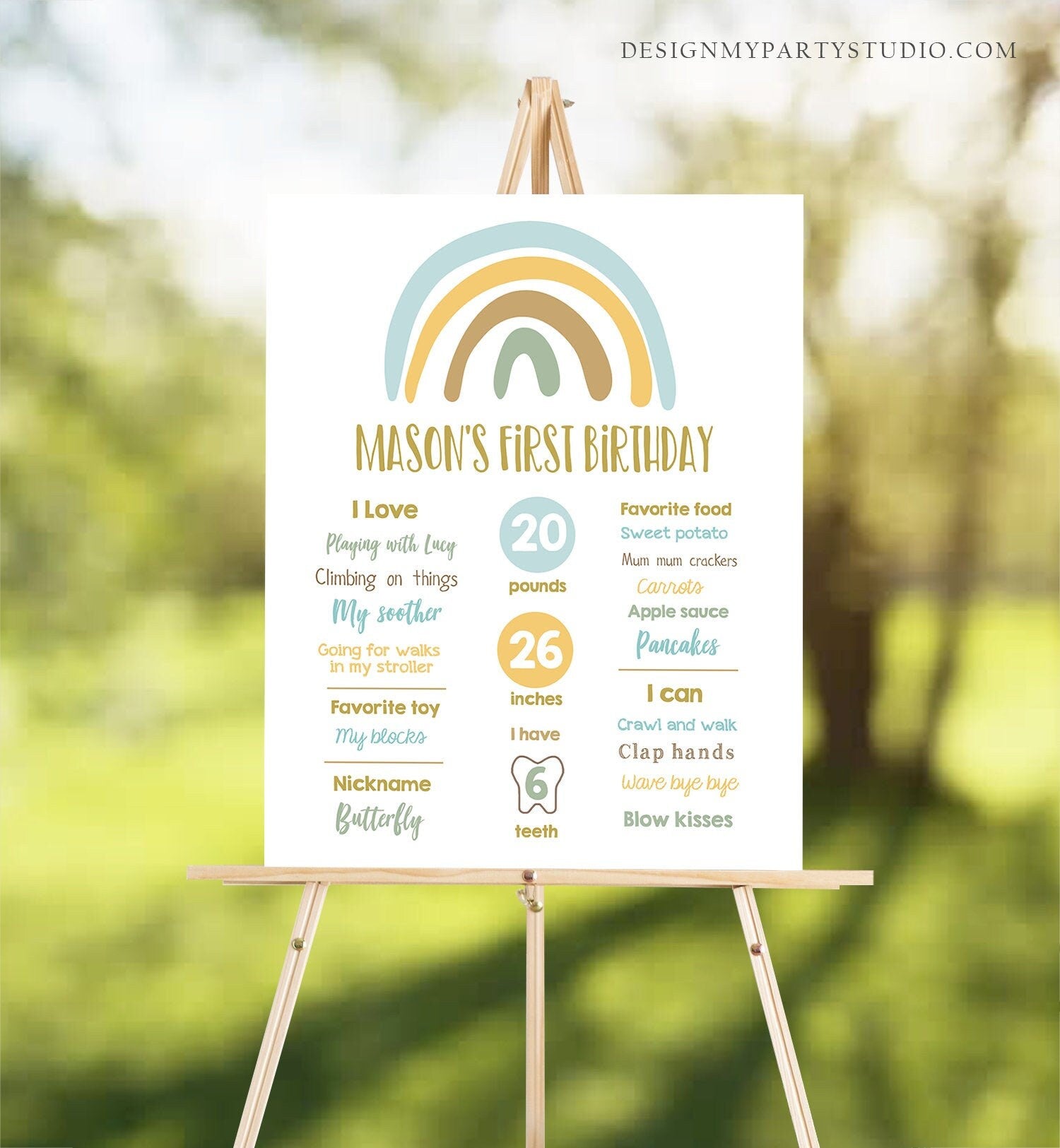 Editable Rainbow Birthday Milestones Sign Boy First Birthday 1st Pastel Infographic Birthday Decor Download Corjl Template Printable 0331