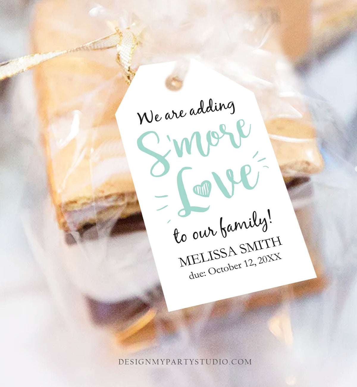 Editable S&#39;more Love Baby Shower Favor Tags Mint We Are Adding Smore Love To Our Family Smores Thank You Tag Printable Corjl Template 0276