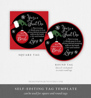 Editable Hot Chocolate Bomb Tags Bomb Instructions Green Red Holiday Favor Tags Winter Christmas You're a Sweet One Digital PRINTABLE 0353