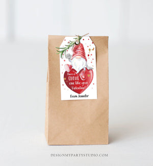 Editable Gnome Valentine Tag Valentine Cards for Kids School Valentine Class Gnome One Like You Download Printable Template Corjl 0370