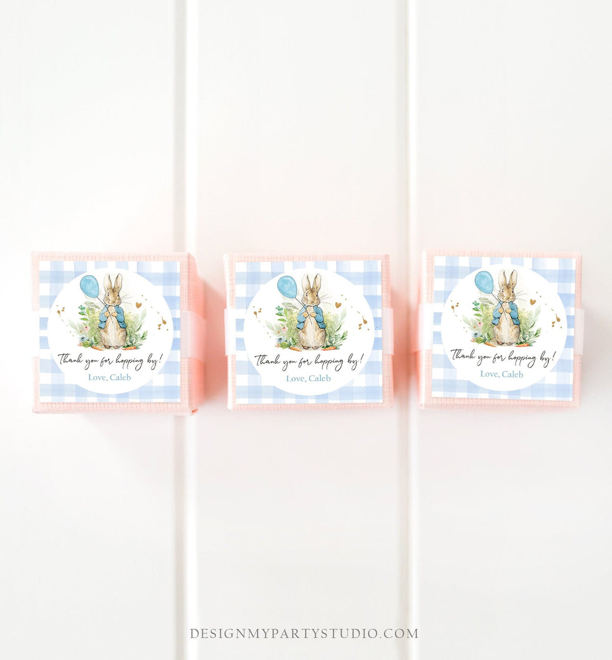 Editable Peter Rabbit Favor Tags Bunny Thank you Tags Round Boy Birthday Labels Thanks Hopping By Printable Download Corjl Template 0351