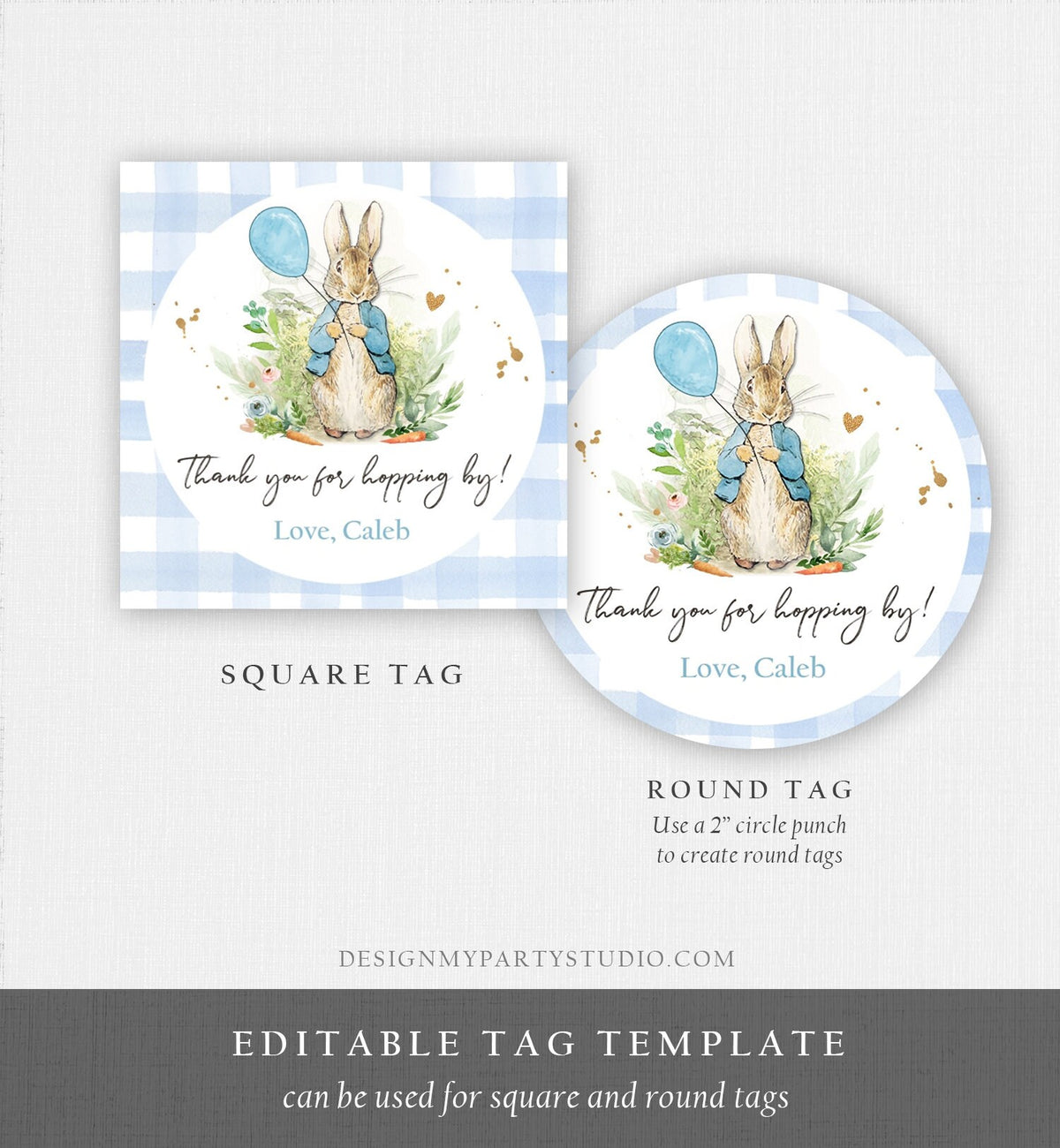 Editable Peter Rabbit Favor Tags Bunny Thank you Tags Round Boy Birthday Labels Thanks Hopping By Printable Download Corjl Template 0351